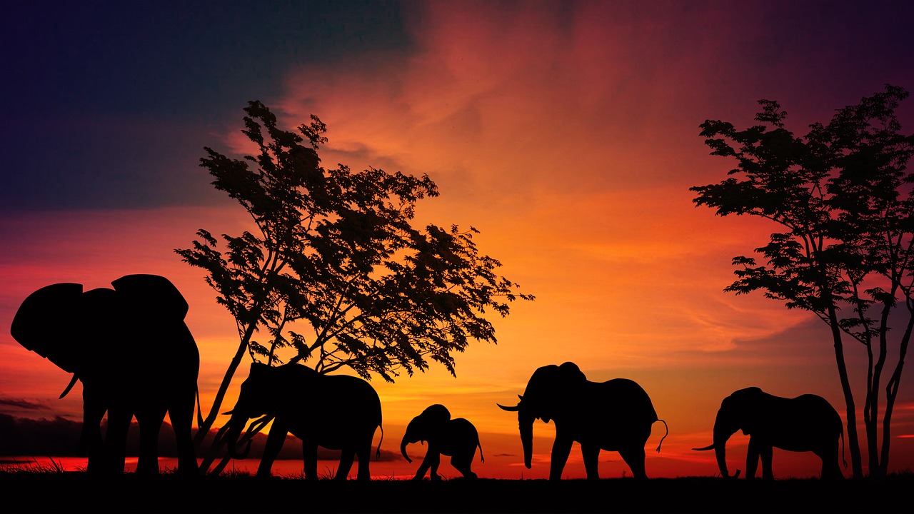Kilimanjaro Climb